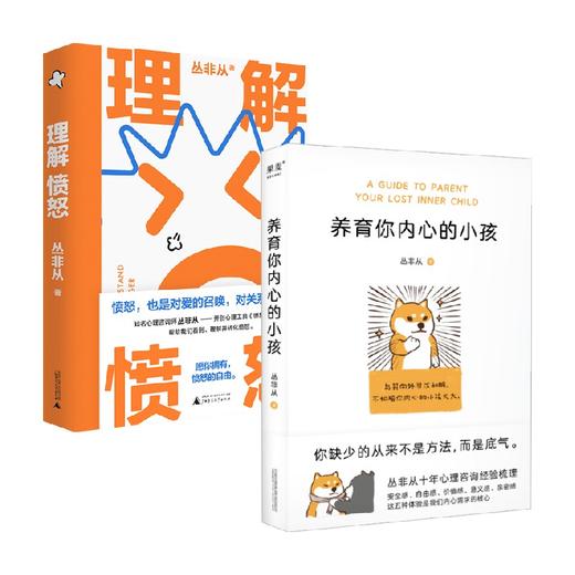 理解愤怒+养育内心的小孩 丛非从 著 心理学 商品图0