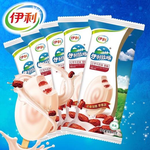 伊利牧场红枣味牛奶雪糕70g经典脆皮冰糕冰淇淋巧克力冰棍冰激凌 商品图0