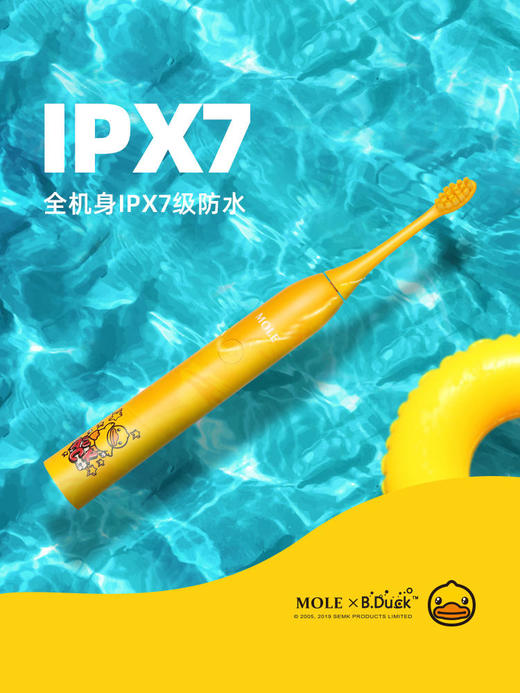 艾优~mole莫勒小黄鸭电动牙刷自动成人牙刷AY 商品图2