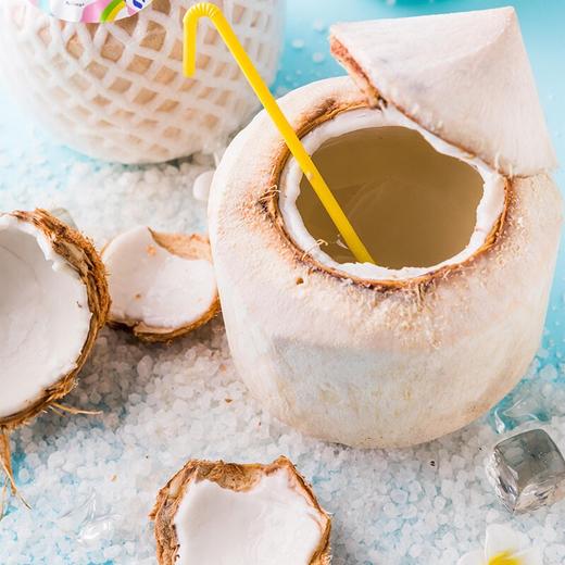 [最农公社]泰国香水椰青9粒装单果重700-900g以上送开椰器椰香浓郁 商品图2