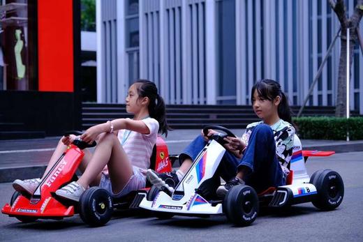 贝多奇2021新款幻影卡丁车BDQ-8号卡丁车 商品图6