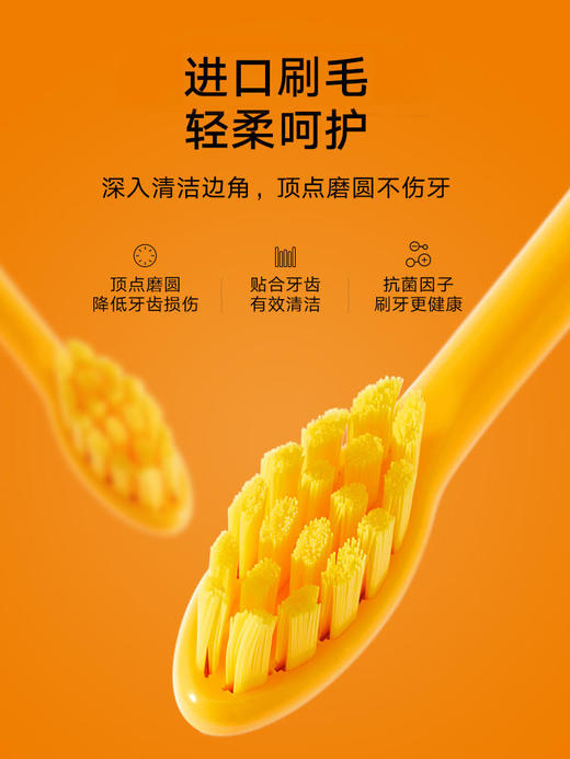 艾优~mole莫勒小黄鸭电动牙刷自动成人牙刷AY 商品图3