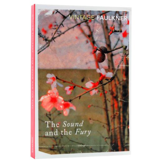 （4折包邮）喧哗与骚动 英文原版 The Sound And The Fury 诺贝尔文学奖 福克纳 William Faulkner 英文版进口 商品图4
