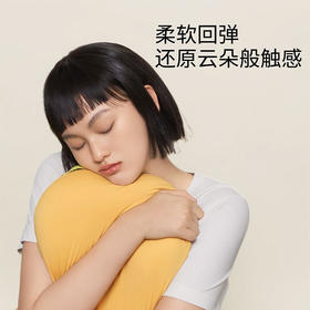 允宝分区舒压枕舒睡护颈枕颈椎枕记忆棉枕头芯XHR