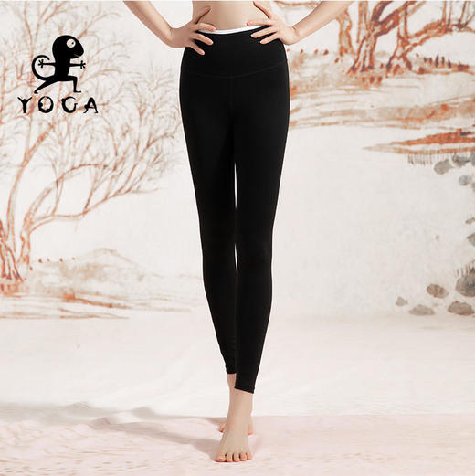 壁虎瑜伽【22027KZ144】高弹提臀九分裤【七十二小时发货】 商品图2