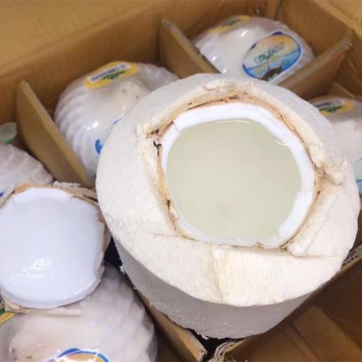 [最农公社]泰国香水椰青9粒装单果重700-900g以上送开椰器椰香浓郁 商品图3