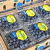 【怡颗莓系列蓝莓】怡颗莓Driscoll’s 蓝莓，口不错，硬度高，入口酸甜滋味！ 商品缩略图4