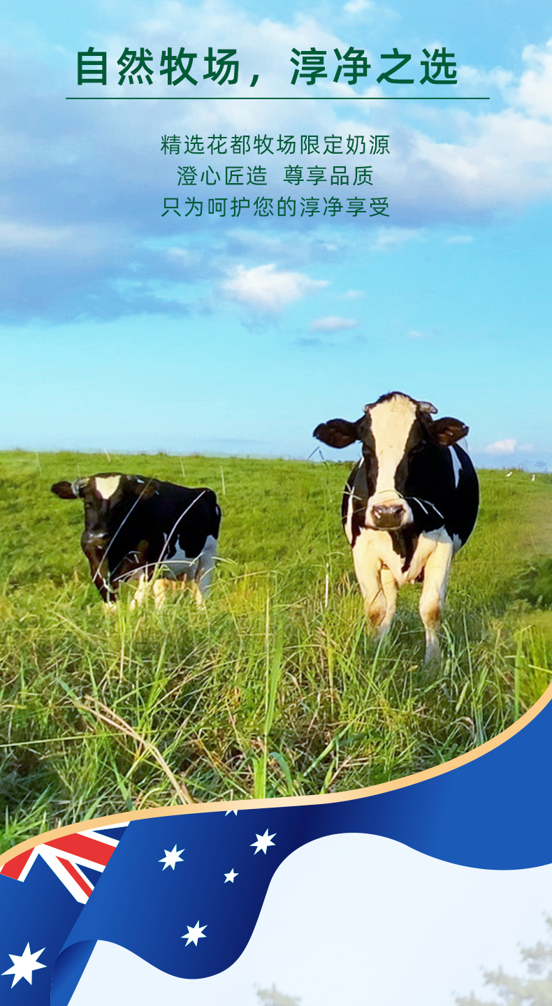 贵州贵阳山花牛奶花都牧场纯牛奶高原牛奶250ml x 12