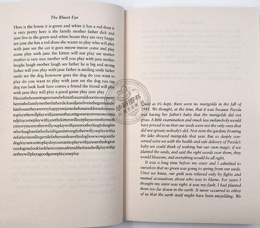 蓝色的眼睛 英文原版小说 The Bluest Eye 最蓝的眼睛 英文版 Toni Morrison 托妮莫里森 进口英语书籍 诺贝尔文学奖 商品图3