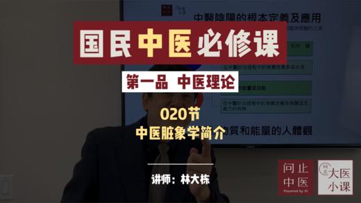 020五行脏腑-中医藏象学简介 商品图0