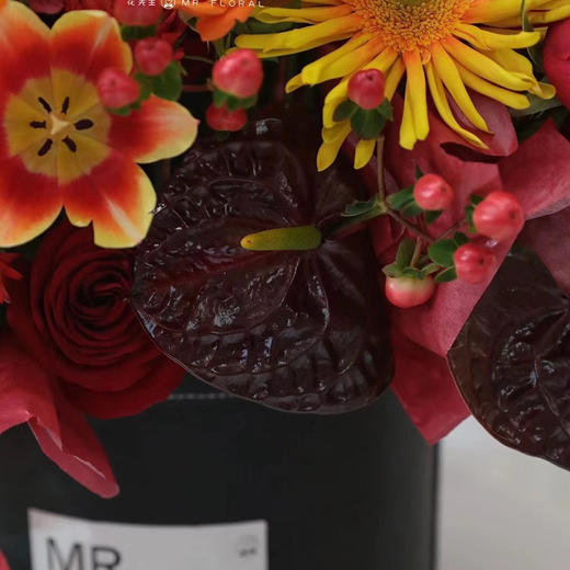 豪华抱抱桶 商品图2