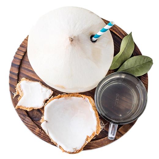 [最农公社]泰国香水椰青9粒装单果重700-900g以上送开椰器椰香浓郁 商品图5