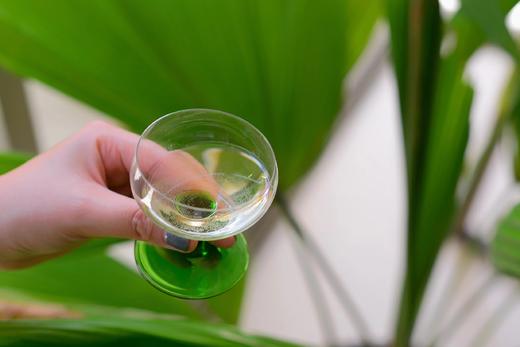 【满赠】匈牙利玛丽雪莱 二星晚收甜白葡萄酒/五星贵腐酒 商品图8