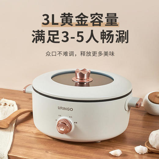七彩叮当电煮锅家用多功能小电锅宿舍学生一体锅小型炒锅电热火锅JQR 商品图1