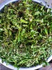 野荠菜（8两/份） 商品缩略图0