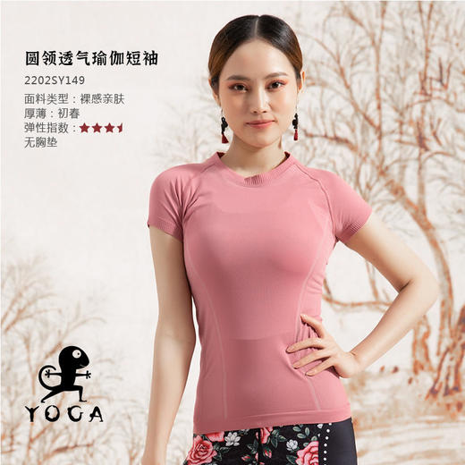 壁虎瑜伽【2202SY149】圆领瑜伽短袖（无胸垫）【七十二小时发货】 商品图0