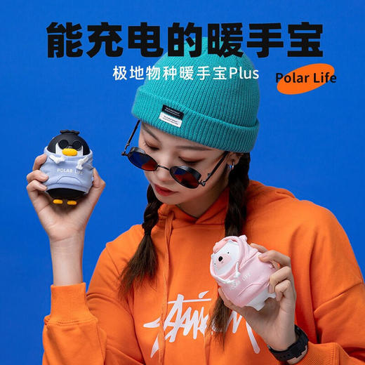 极地物种暖手宝暖宝宝充电宝里小熊-10000mahJDWZ 商品图0