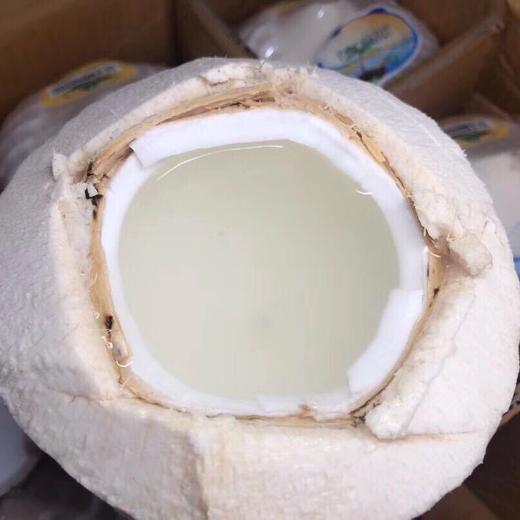 [最农公社]泰国香水椰青9粒装单果重700-900g以上送开椰器椰香浓郁 商品图4