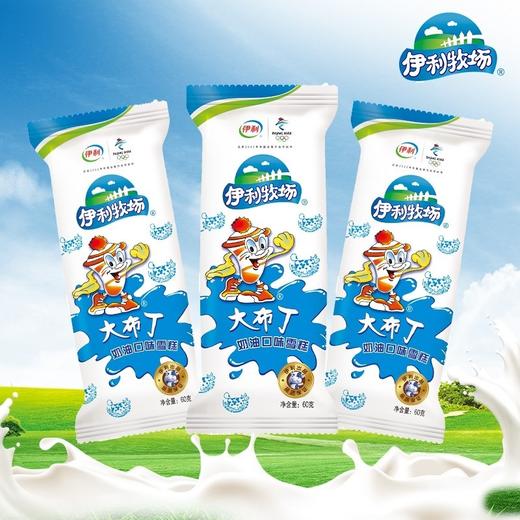 伊利牧场大布丁   小布丁奶油口味冷饮冰激凌冰淇淋经典雪糕整箱60g*40支 商品图0