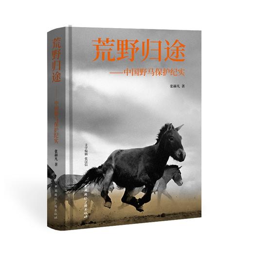 荒野归途:中国野马保护纪实 商品图0