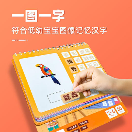 【轻松学会220个启蒙汉字】Saalin儿童果冻互动安静贴 儿童益智玩具识字启蒙教具 商品图3