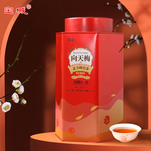 【醇香甘爽】宝城茶叶碳焰D429北斗峰向天梅岩茶两罐装共400克 商品图6