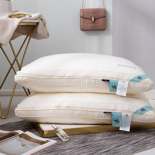 【门店同款玻尿酸枕】玻尿酸枕芯单人成人简约舒适高中低柔软护颈椎五星级酒店枕头 商品图1