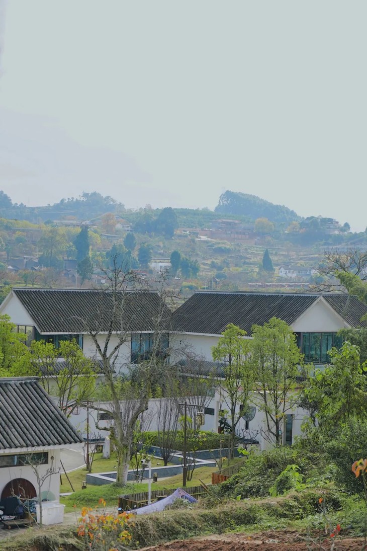 【新津·梨园雅舍】499元/599元特惠,赏万亩梨花,住湖畔民宿,还有汉服