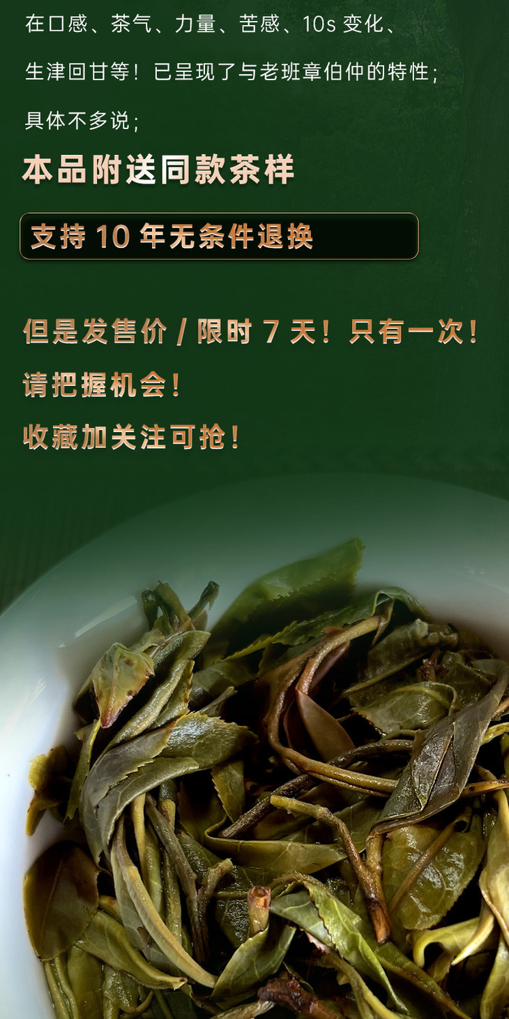 藏剑山庄2021年春茶 帕沙 犀牛塘古树茶 200克/片 购买5片赠1片