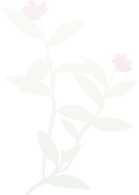 新建一个音频测关联解锁ic