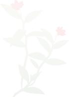 新建一个音频测关联解锁ic 商品图0