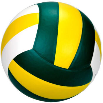 红双喜排球 FV513 学生中考专用硬排球 商品图2