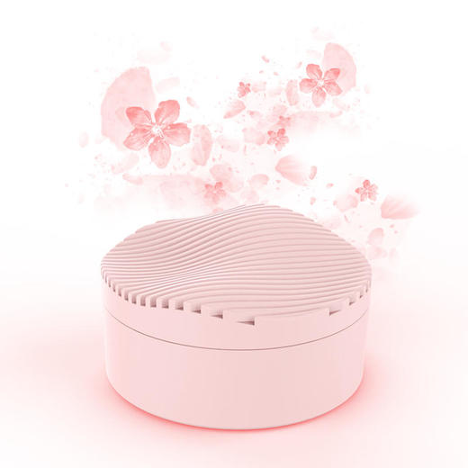 【双重国际专利80天缓释消臭除醛】日本原装RhysuAir芮颂空净盒三倍祛味母婴可用多效解决【GPQ】 商品图4