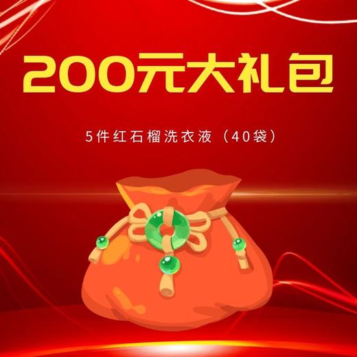 武汉方案礼包-红石榴洗衣液（件） 商品图1