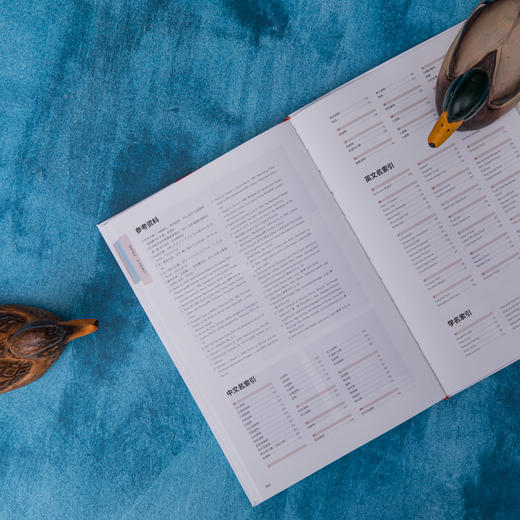 鸭类识别图鉴：54种鸭类的“全羽衣”图鉴，1500余幅手绘&照片，科学的鸟种认知，实用的设计编排，一书助你从容观鸭！ 商品图8
