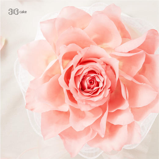 《38女神限定》玫瑰绽放，可选1.5磅 商品图3