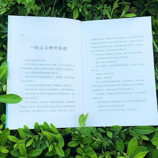 寒风吹彻 7-10岁 刘亮程 著 儿童文学 商品图2