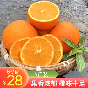 【秒杀】峡江纽荷尔（圆虹）柑橘5斤装