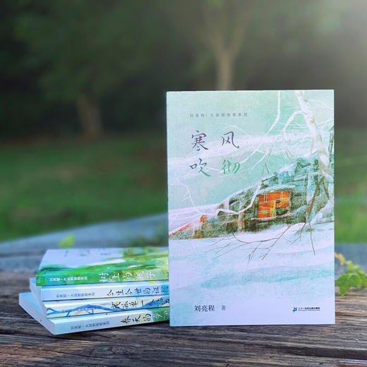 寒风吹彻 7-10岁 刘亮程 著 儿童文学 商品图1