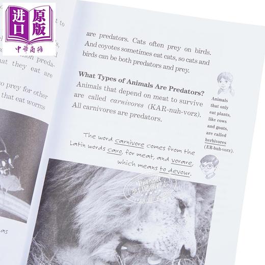 预售 【中商原版】Magic Tree House Fact Tracker 神奇树屋小百科系列38册套装 英文原版 魔法树屋儿童章节书 中小学生阅读 商品图2