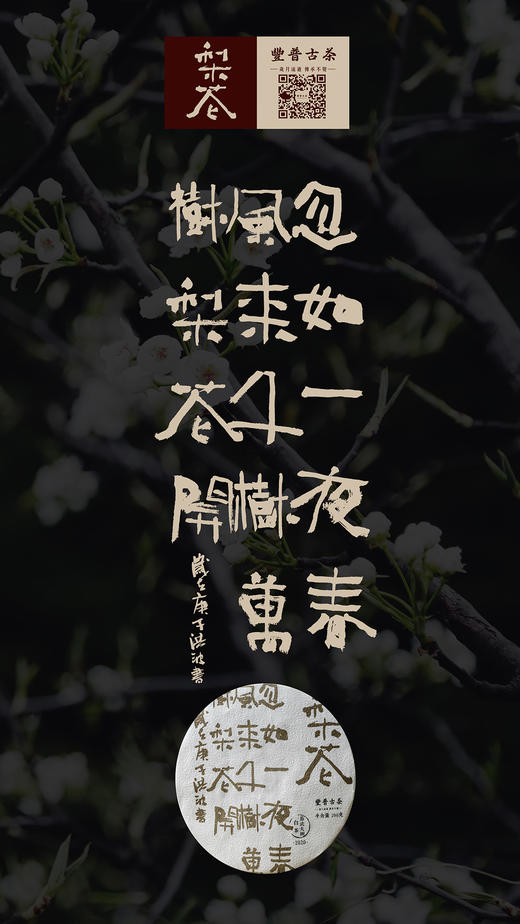 【醇厚饱满 香醇温润】丰普古茶 2020年 梨花 易武白茶 200g/饼 商品图6
