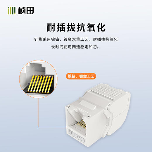 超六类非屏蔽免打网络模块31177 商品图1