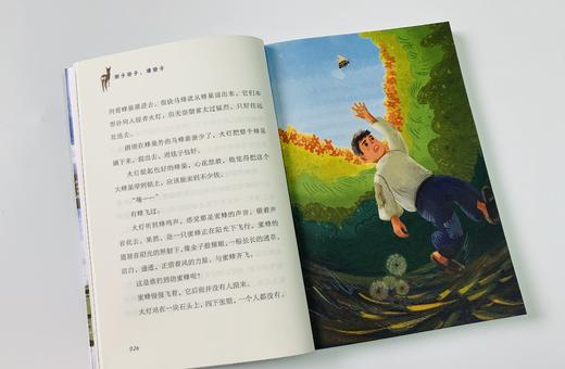 《麦田少年文库》全5册精心选编了数10位中国儿童文学名家 及新锐作家的85篇经典作品 商品图4