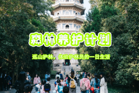 浮力卡年卡专属：《植树节特别活动——森林养护计划》3月20号周日【半日游学】