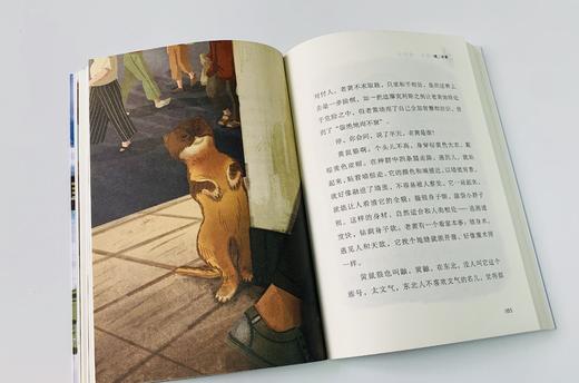 《麦田少年文库》全5册精心选编了数10位中国儿童文学名家 及新锐作家的85篇经典作品 商品图5