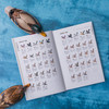 鸭类识别图鉴：54种鸭类的“全羽衣”图鉴，1500余幅手绘&照片，科学的鸟种认知，实用的设计编排，一书助你从容观鸭！ 商品缩略图7