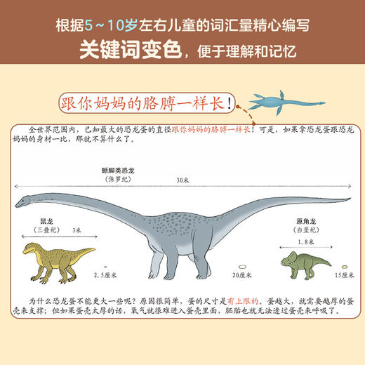 亲亲历史图书馆（第3辑）（共2册） 商品图7