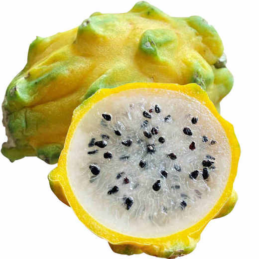 海南燕窝果 土豪水果 绵滑若燕窝 富含大量花青素|百里食 商品图3