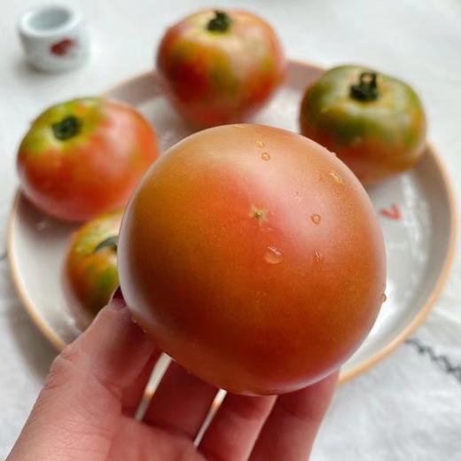 阳柿子草莓水果番茄3/4.5斤  （48-72小时发货  下雨延迟发货） 商品图3