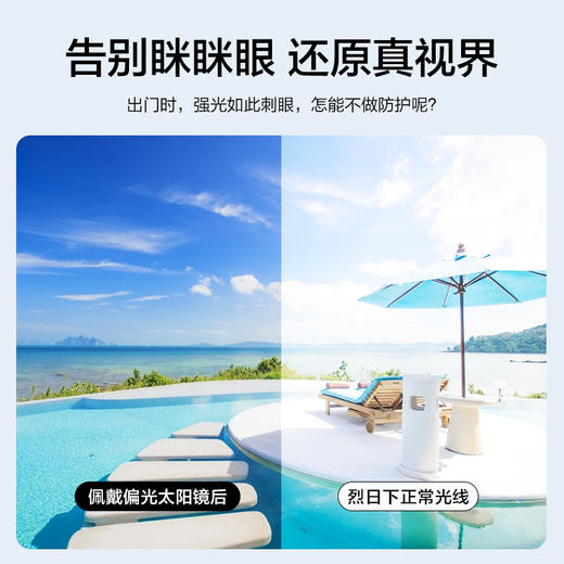 【特价秒杀款】普莱斯SS10003 板材 全框太阳镜 商品图4